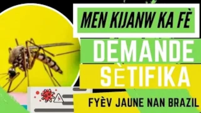 Men kijan ou kapab fè demand sètifica fyèv jaune nan Brasil