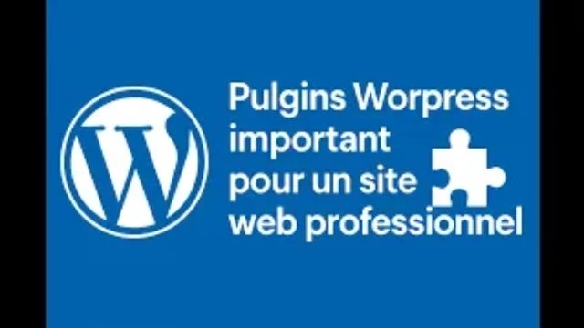 Pulgins wordpress important pour un site web professionnel